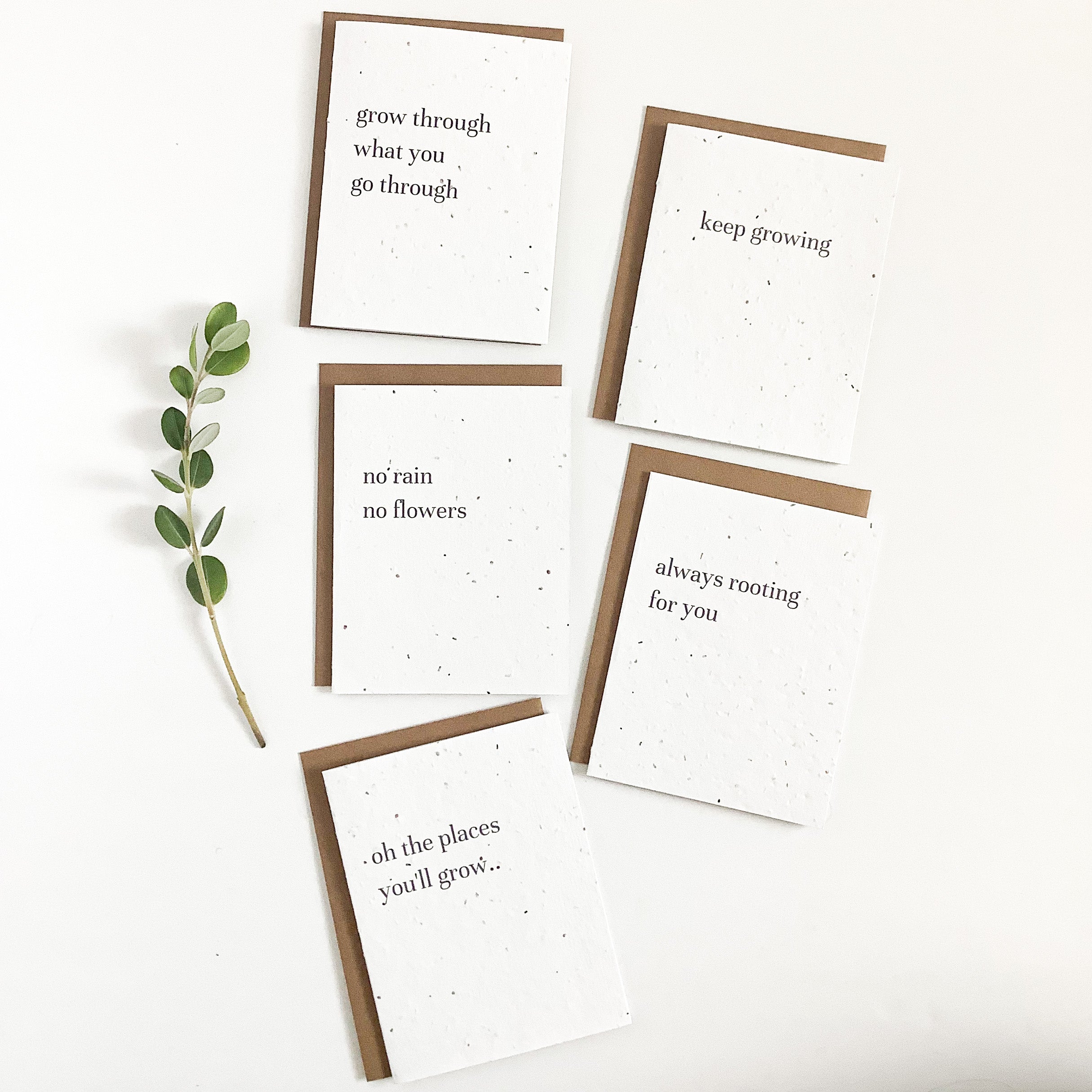 air plant puns Variety Pack
