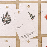Plantable Gift Tags - Holiday