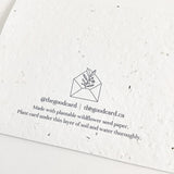 Flat Card Set - Holiday