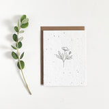 Variety Pack - Floral