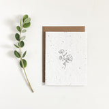 Variety Pack - Floral