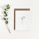 Variety Pack - Floral